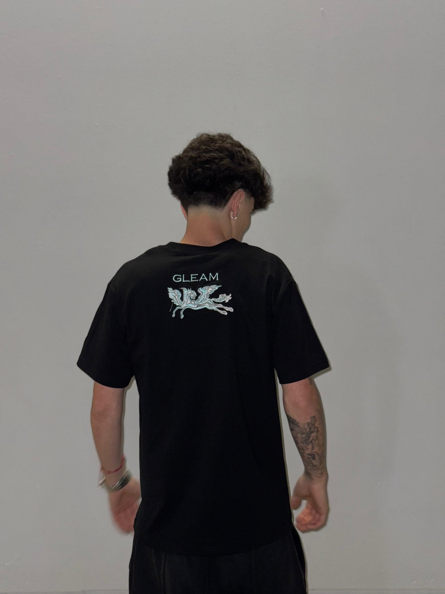 Camiseta No Rules Just Noise - Wild Horse Edition (Black)